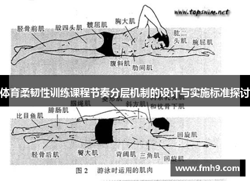 体育柔韧性训练课程节奏分层机制的设计与实施标准探讨